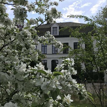 Bed and Breakfast Pastorie Caeneghem Kanegem Esterno foto